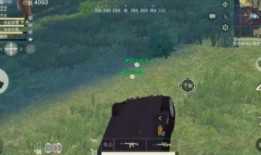 老司机爆料塔姆视频大全,塔姆视频大全背后的精彩瞬间